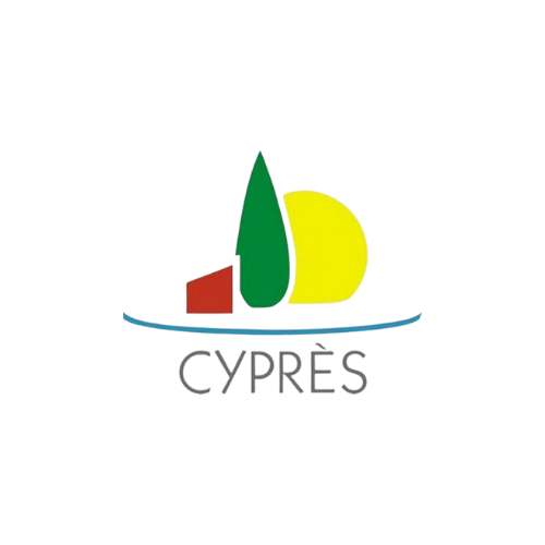 Cyprès (1)